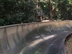 -富斯特索道