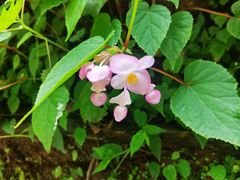 -北京上方山国家森林公园