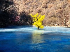 -少华山国家森林公园