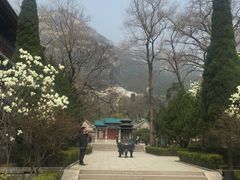 -青岛崂山太清宫