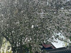 -天宁寺