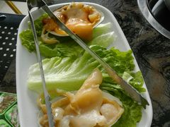 -蚝专家