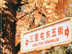 -三里屯东五街银杏大道
