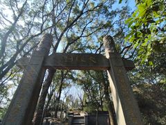 -上海佘山国家森林公园天马山园