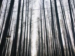 -山王坪喀斯特国家生态公园