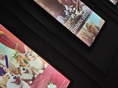 -金太狼4k国际影城