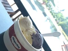 哈根达斯-厦门悦华酒店·绿庭主题自助餐厅