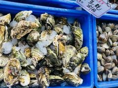 -渡海小渔村.老辈日照菜