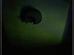 -雅克雅思(中央商场店)