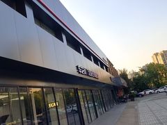 -车艺尚上海龙膜隐形车衣汽车贴膜旗舰店