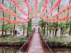 -合肥滨湖国家森林公园