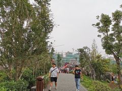 -枫香湖儿童公园