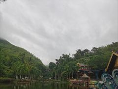 -西双版纳原始森林公园