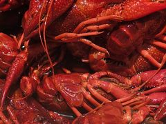 -王红军龙虾(新民路店)