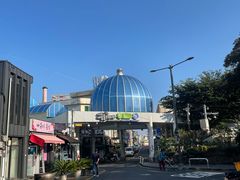 -西归浦每天偶来市场