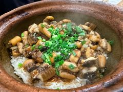 -红星光发煲仔饭(大石街店)