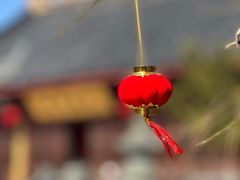 -上海青龙寺