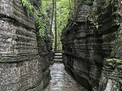 -梭布垭石林景区