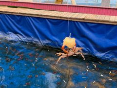 -青龙湖公园