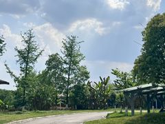 -白鹭湾湿地公园