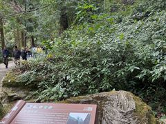 -雁荡山风景名胜区