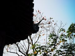 -西湖游船