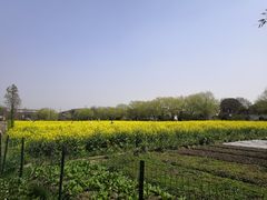 -广富林郊野公园