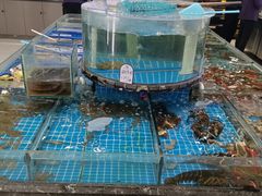 -好人家海鲜酒楼(淞南路店)