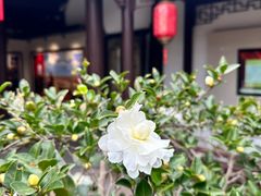 -清漾毛氏文化村