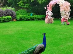 -J Create城市露营咖啡·简餐·宠物(上海动物园店)