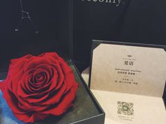 roseonly-ROSEONLY诺誓(青岛万象城店)