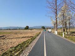-良渚古城遗址公园