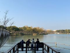 -昆山城市生态森林公园