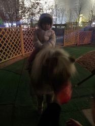 -萌宠亲子动物乐园(槐房万达店)