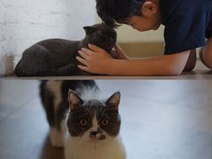 -猫咖时代(中山亭店)