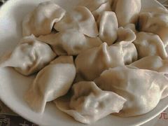 -添福来墨鱼饺子 · 海鲜东北菜(大连星海·黄浦路店)