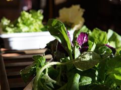 山茅野菜组合-滇釜火锅·能喝汤的火锅(车公庄店)