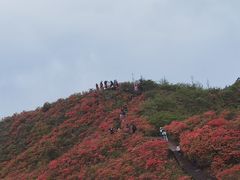 -大围山国家森林公园
