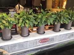 -红鼎坊·老成都火锅(新南门店)