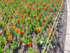 -长春公园(普阳街道)