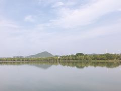 -羊山湖公园
