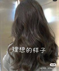 -GT潮朴美业