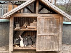-池杉湖湿地公园
