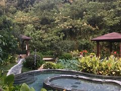 -汇雅温泉