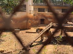 -昆明动物园