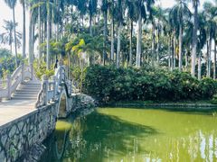 -中国科学院华南植物园