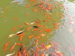 景点-口岸雕花楼