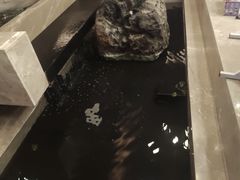 -臻品足道(佛祖岭店)
