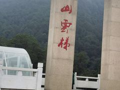 -铁山坪森林公园