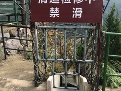 -东天目山风景区